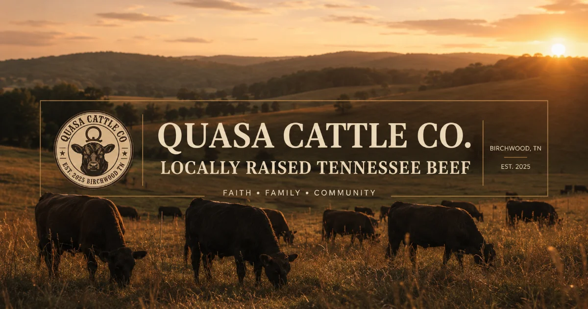 Quasa Cattle Co. preview